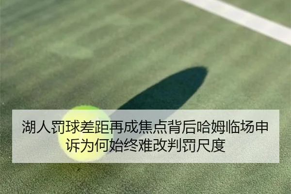 湖人罚球差距再成焦点背后哈姆临场申诉为何始终难改判罚尺度