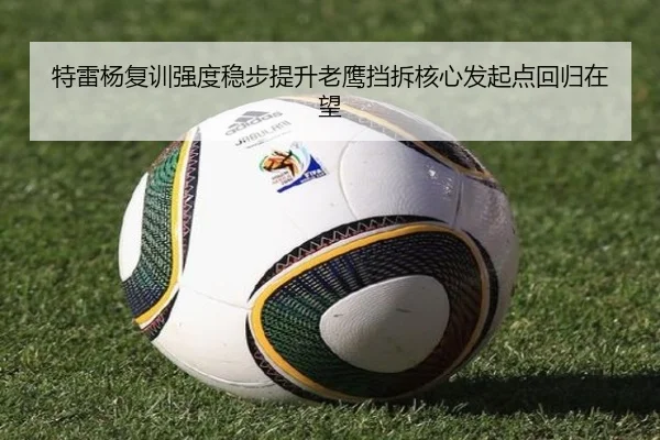 特雷杨复训强度稳步提升老鹰挡拆核心发起点回归在望