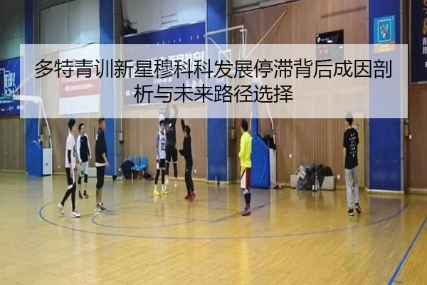 多特青训新星穆科科发展停滞背后成因剖析与未来路径选择
